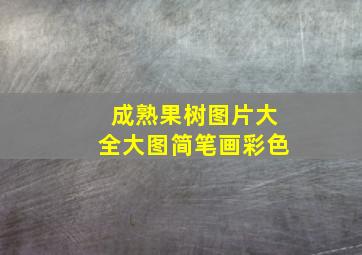 成熟果树图片大全大图简笔画彩色