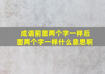 成语前面两个字一样后面两个字一样什么意思啊