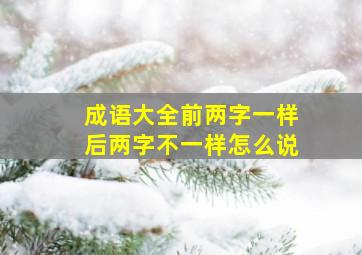 成语大全前两字一样后两字不一样怎么说