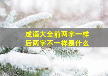 成语大全前两字一样后两字不一样是什么