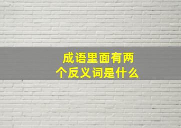 成语里面有两个反义词是什么