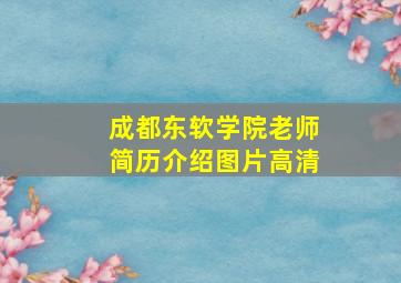 成都东软学院老师简历介绍图片高清