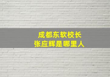 成都东软校长张应辉是哪里人