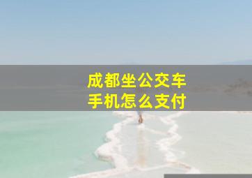 成都坐公交车手机怎么支付