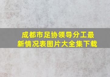 成都市足协领导分工最新情况表图片大全集下载