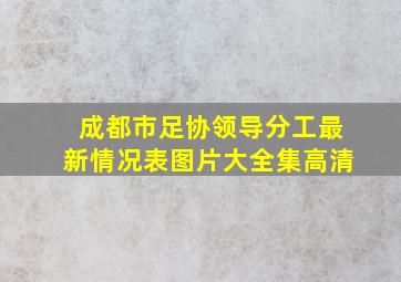 成都市足协领导分工最新情况表图片大全集高清