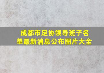 成都市足协领导班子名单最新消息公布图片大全