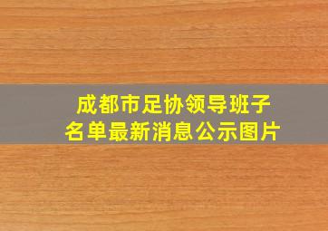 成都市足协领导班子名单最新消息公示图片