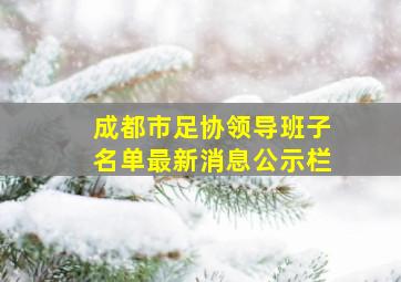 成都市足协领导班子名单最新消息公示栏