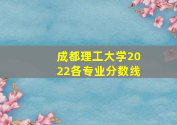 成都理工大学2022各专业分数线