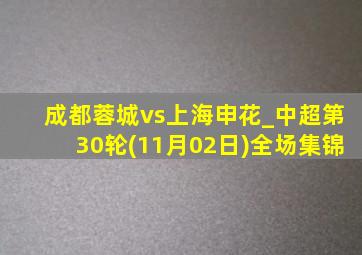 成都蓉城vs上海申花_中超第30轮(11月02日)全场集锦