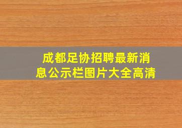 成都足协招聘最新消息公示栏图片大全高清