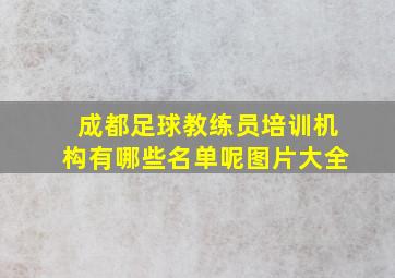 成都足球教练员培训机构有哪些名单呢图片大全