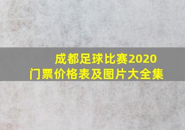 成都足球比赛2020门票价格表及图片大全集