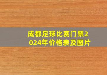 成都足球比赛门票2024年价格表及图片