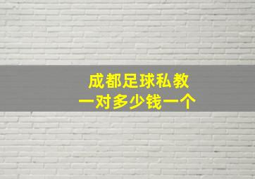 成都足球私教一对多少钱一个