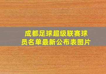 成都足球超级联赛球员名单最新公布表图片