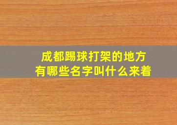 成都踢球打架的地方有哪些名字叫什么来着