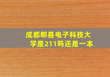 成都郫县电子科技大学是211吗还是一本