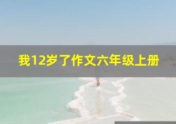 我12岁了作文六年级上册