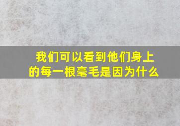 我们可以看到他们身上的每一根毫毛是因为什么