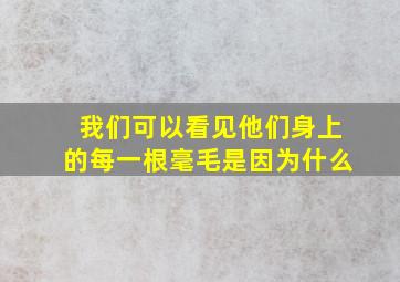 我们可以看见他们身上的每一根毫毛是因为什么