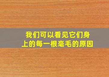 我们可以看见它们身上的每一根毫毛的原因