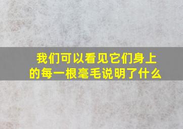 我们可以看见它们身上的每一根毫毛说明了什么