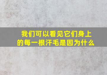 我们可以看见它们身上的每一根汗毛是因为什么