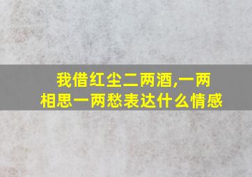 我借红尘二两酒,一两相思一两愁表达什么情感