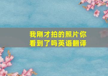 我刚才拍的照片你看到了吗英语翻译