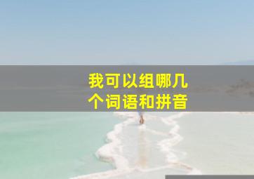 我可以组哪几个词语和拼音