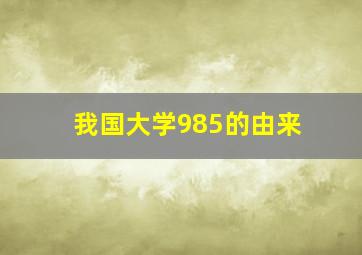 我国大学985的由来