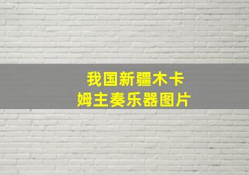 我国新疆木卡姆主奏乐器图片