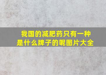 我国的减肥药只有一种是什么牌子的呢图片大全