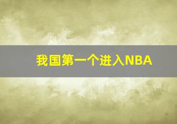 我国第一个进入NBA