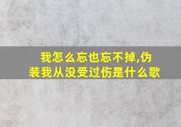 我怎么忘也忘不掉,伪装我从没受过伤是什么歌