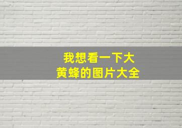 我想看一下大黄蜂的图片大全