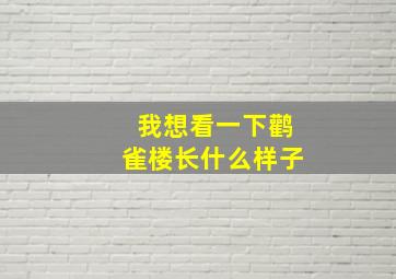 我想看一下鹳雀楼长什么样子