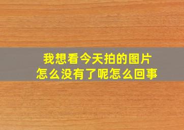 我想看今天拍的图片怎么没有了呢怎么回事