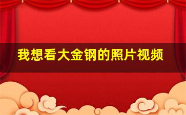 我想看大金钢的照片视频