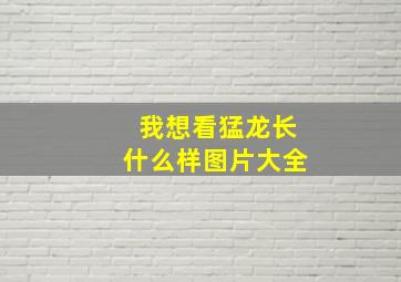 我想看猛龙长什么样图片大全