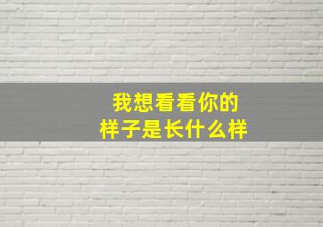 我想看看你的样子是长什么样