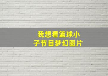 我想看篮球小子节目梦幻图片