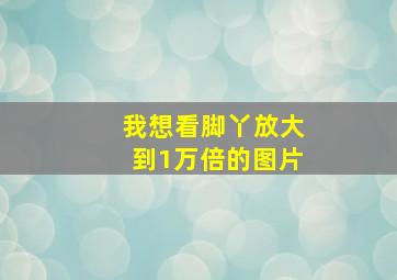 我想看脚丫放大到1万倍的图片