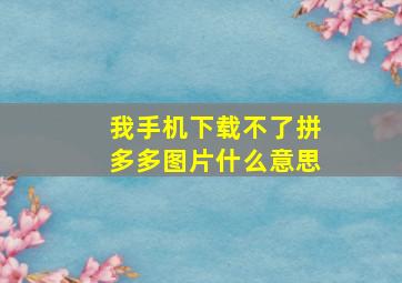 我手机下载不了拼多多图片什么意思