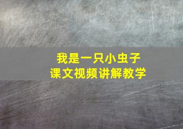 我是一只小虫子课文视频讲解教学