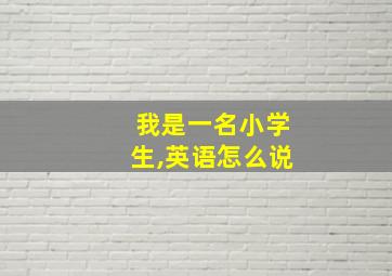 我是一名小学生,英语怎么说