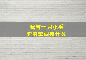 我有一只小毛驴的歌词是什么