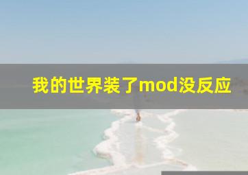 我的世界装了mod没反应